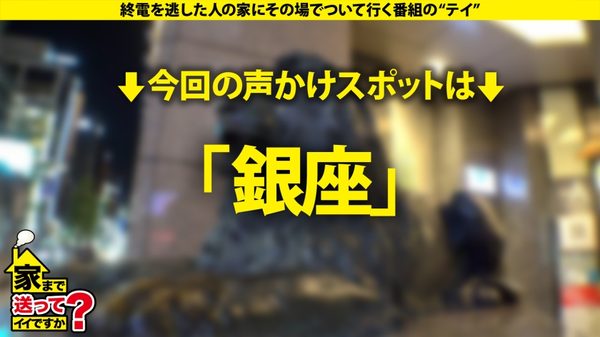 case.285 サンプル画像1